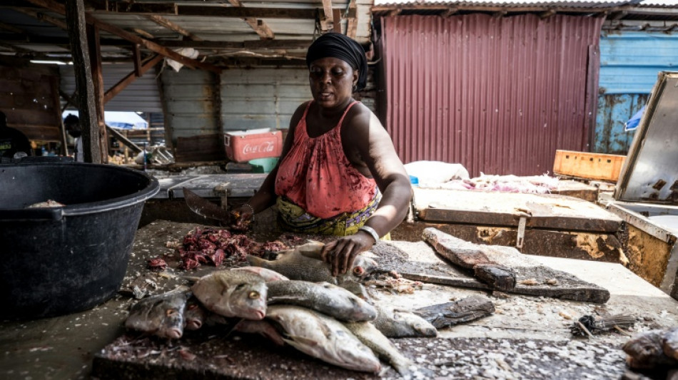 Gambian businesses struggle under prolonged blackouts 