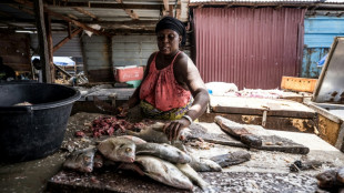 Gambian businesses struggle under prolonged blackouts 