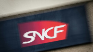 Limitation du nombre de bagages dans les TGV: la SNCF infligera des amendes &agrave; partir de lundi