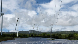 Energieexperten von SPD und Gr&uuml;nen kritisieren Gesetzespl&auml;ne Reiches