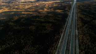Changement climatique: les surfaces br&ucirc;l&eacute;es en Europe vont augmenter, pr&eacute;viennent des chercheurs