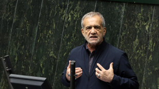 Iran, 'il presidente andr&agrave; a vertice Brics, vedr&agrave; Putin