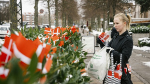 Danemark: col&egrave;re d'anciens combattants apr&egrave;s le retrait de drapeaux danois par l'ambassade am&eacute;ricaine