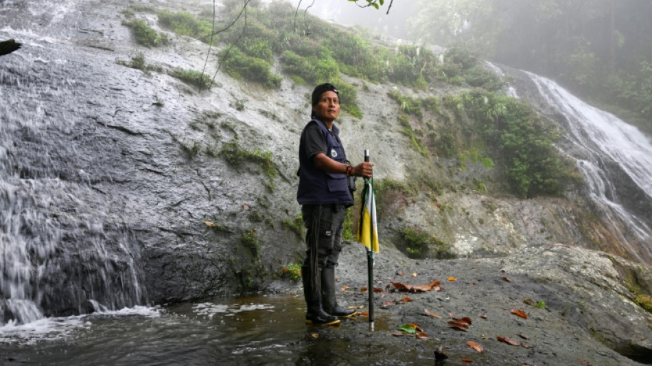 Ind&iacute;genas aw&aacute; da Col&ocirc;mbia: diante da viol&ecirc;ncia, uma 'conex&atilde;o' com a natureza