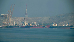 P&eacute;trole: L'Opep+ maintient le cap, sans commenter le d&eacute;part des Emirats arabes unis