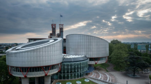 La Russie condamn&eacute;e pour la r&eacute;pression d'organisations li&eacute;es &agrave; Navalny (CEDH)