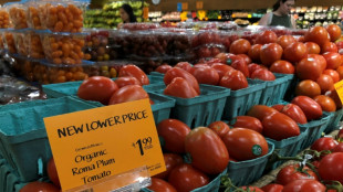 EEUU impone arancel del 17% a tomates de México, que tacha de "injusta" la decisión