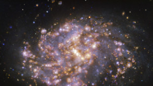 Spazio, l'italiana MetaSensing scelta per la costellazione Sirb degli Emirati Arabi