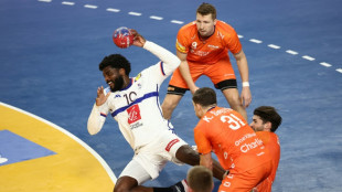Mondial de hand: les Bleus en quarts face &agrave; leur pass&eacute;