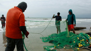 Un El Ni&ntilde;o exceptionnel entra&icirc;ne des temp&eacute;ratures in&eacute;dites dans le Pacifique