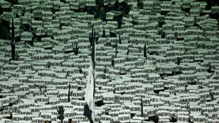 German football fans plan widespread VAR protests 