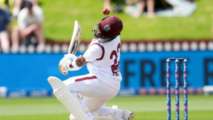 Hodge edges towards century as West Indies 310-4, trail by 265