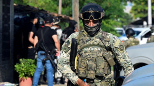 Hombres armados matan a 10 personas en un bar de M&eacute;xico