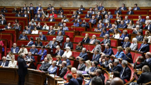 Frankreich erlässt schärferes Gesetz zur Bekämpfung der Drogenkriminalität