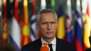 Nato-Chef fordert st&auml;rkeren Ausbau der Waffenproduktion in Europa