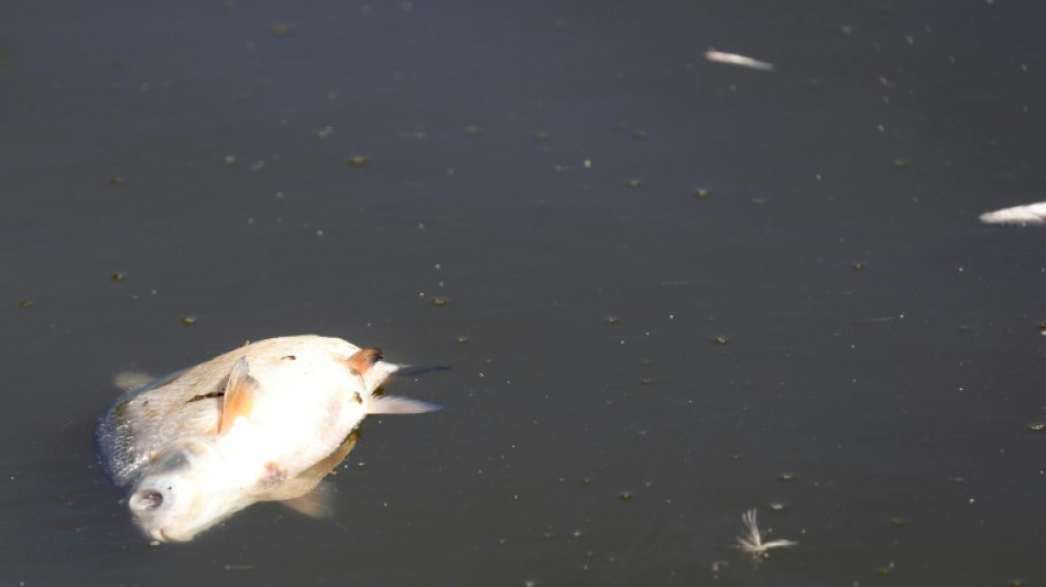 Bundesumweltministerin f&uuml;rchtet Dauersch&auml;den nach Fischsterben in Oder