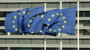 Ue, 'tassa sulle reti per le Big Tech non è praticabile'