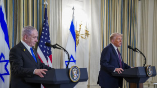Trump contro Herzog, 'bugiardo e patetico, non ha concesso la grazia a Netanyahu'