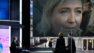 Pr&eacute;sidentielle: campagne au vitriol &agrave; l'extr&ecirc;me droite