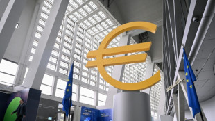 El sector privado de la eurozona se mantuvo "prácticamente estable" en abril, según el índice PMI