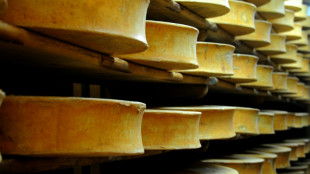 S&eacute;cheresse: le gouvernement all&egrave;ge la r&eacute;glementation des fromages comt&eacute;, beaufort et abondance