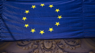 Nell'eurozona l'indice Pmi manifatturiero sale a 50 punti