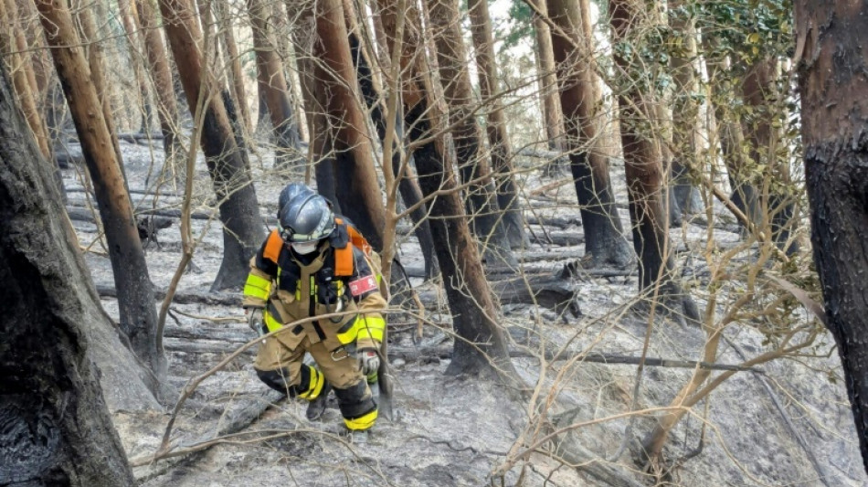 Schnee in Waldbrandgebiet in Japan weckt Hoffnung auf Erfolge bei L&ouml;scharbeiten