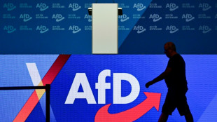 Niedersachsen: AfD w&auml;hlt Fraktionschef Wichmann zu Spitzenkandidat f&uuml;r Landtagswahl