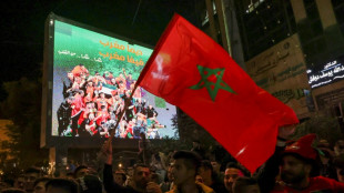 El Mundial de Catar demuestra que la causa palestina no est&aacute; "enterrada"