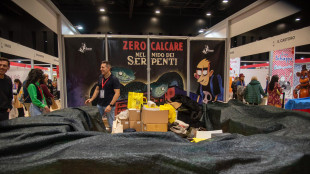 La protesta a Pi&ugrave; Libri Pi&ugrave; Liberi, tanti gli stand coperti