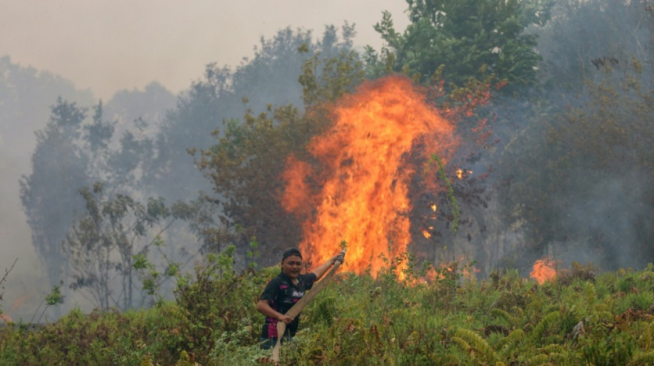Los incendios en Indonesia arrasan m&aacute;s de 1,9 millones de hect&aacute;reas hasta septiembre