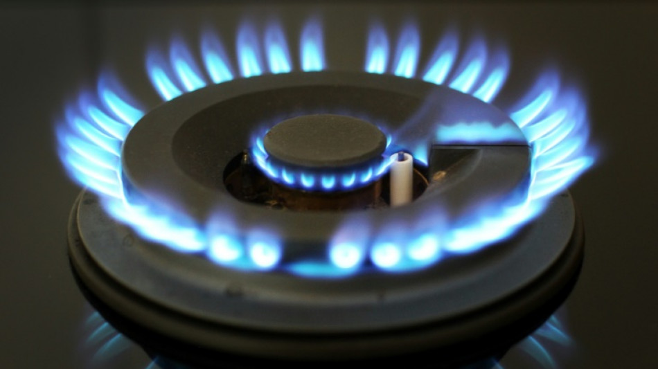 Regierung f&uuml;rchtet wegen hoher Energiepreise Zunahme von Privatinsolvenzen