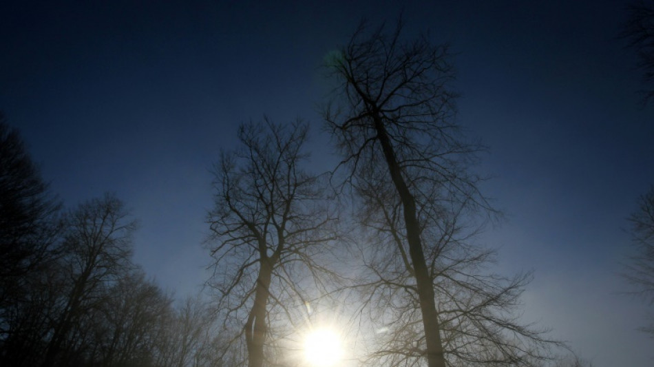 Deutschland erlebte elften zu warmen Winter in Folge