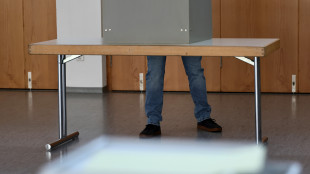 In Germania Renania-Palatinato al voto, Cdu in lieve vantaggio e Afd terza