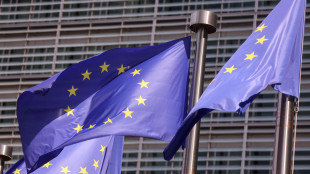 Ue, 'Meta e TikTok rafforzino monitoraggio e verifica dei fatti su crisi come a Ceuta'