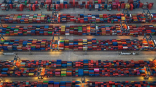 Trotz Handelsh&uuml;rden: Globalisierung erreicht laut Studie dank KI-Boom Rekordwert