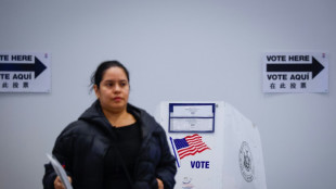 Mulher nos EUA &eacute; acusada de registrar sua cadela para votar