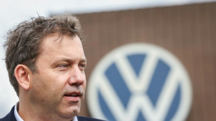 Germany urges EU action against China to defend carmakers