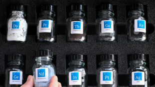 Terres rares: l'Europe doit "muscler son jeu" face au "racket" chinois, selon la Commission
