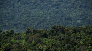 Diputados brasile&ntilde;os aprueban proyecto que limita demarcaci&oacute;n de tierras ind&iacute;genas