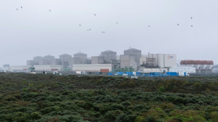 Nucl&eacute;aire: 80% de gr&eacute;vistes dans la plus grosse centrale fran&ccedil;aise &agrave; Gravelines (syndicats)