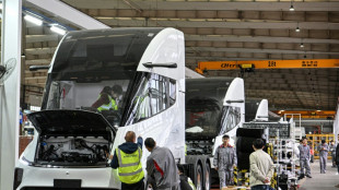 Empresas chinas encaran el desaf&iacute;o de los camiones el&eacute;ctricos