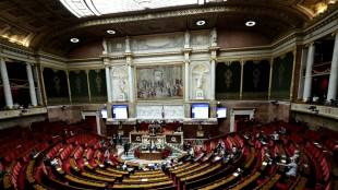 P&eacute;tition contre la loi Duplomb: d&eacute;bat in&eacute;dit mais sans vote &agrave; l'Assembl&eacute;e