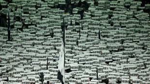Torcedores alem&atilde;es preparam campanha de protestos contra o VAR