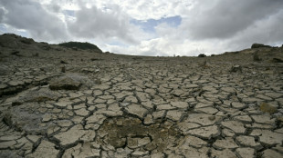 Honduras places 80% of country on El Nino drought alert