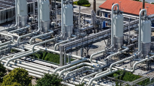 Gme, sale il valore dell'indice italiano del prezzo del gas
