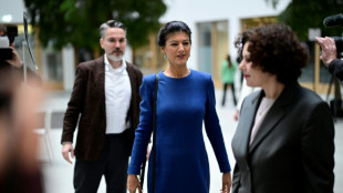 Bundestags-Ausschuss entscheidet über BSW-Antrag auf Neuauszählung von Stimmen