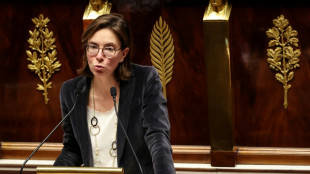 "Pas vrai" que des milliers de Fran&ccedil;ais fortun&eacute;s &eacute;chappent &agrave; l'imp&ocirc;t sur le revenu, affirme de Montchalin