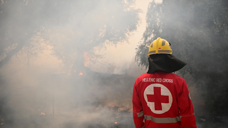 Tre arresti in Grecia, sospettati di aver appiccato un incendio