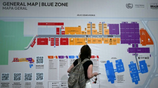 China cree que "alg&uacute;n d&iacute;a" EEUU volver&aacute; al compromiso clim&aacute;tico, dice su jefe negociador a la AFP